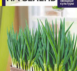 Лук на зелень