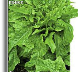 Салат Дубачек МС (листовой)