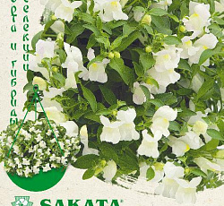 Антирринум (Львиный зев) Кэнди Шауэрс белый F1