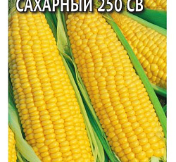 Кукуруза Краснодарский сахарный CВ 250 F1