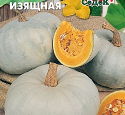 Тыква Изящная
