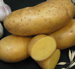 Картофель Императрица