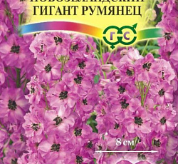 Дельфиниум махровый Новозеландский гигант румянец