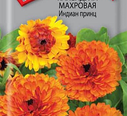 Календула Махровая Индиан принц