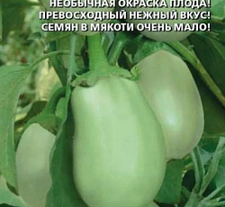 Баклажан Дружба