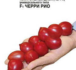 Томат Черри Рио F1