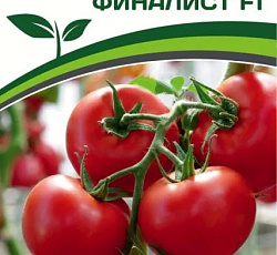 Томат Финалист F1