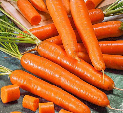 Морковь Сахарный пальчик