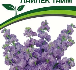 Маттиола срезочная махровая Лайлек Тайм