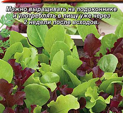 Бэби салат Бургундия смесь