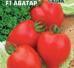 Томат Аватар F1