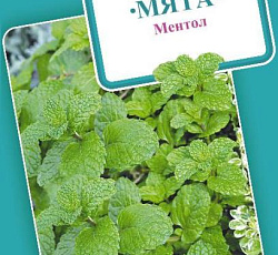 Мята Ментол