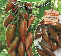 Томат Шоколадный фонтан