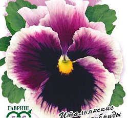 Виола Фламенко фиолетовая F1