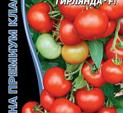 Томат Сибирская гирлянда F1