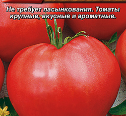 Томат Мишка на севере