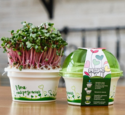 Набор для выращивания "Моя микрозелень" - РЕДИС