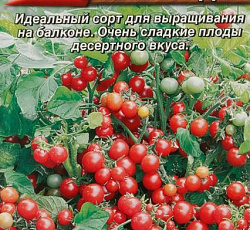 Томат Сахарная гроздь