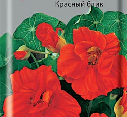 Настурция Большая Красный блик (махровая)