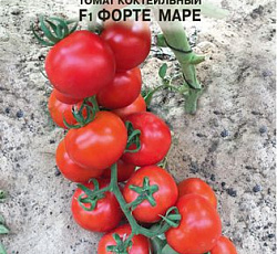 Томат Форте Маре F1