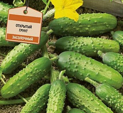 Огурец Купеческий F1