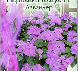 Катарантус Парадайз Клауд Лавандер F1