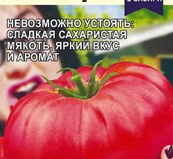 Томат Жрица