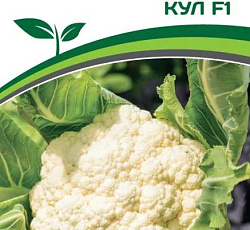 Капуста цветная Кул F1