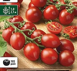 Томат Принц Боргезе