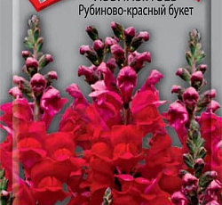Львиный зев (Антирринум) Рубиново-красный букет