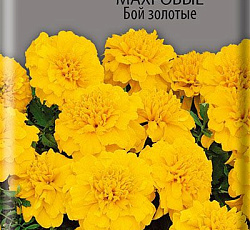 Бархатцы отклоненные махровые Бой золотые