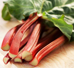 Ревень Виктория