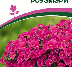 Петуния "Зацветет" Middl Роузмэри F1 полуампельная