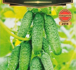 Огурец Бабушкин секрет F1