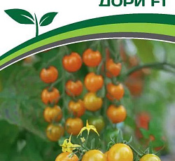 Томат Дори F1