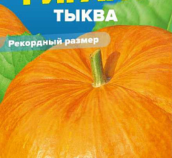 Тыква Сибирский гигант