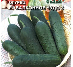 Огурец Балконное чудо 3 F1