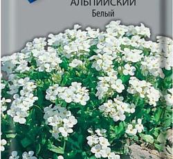 Арабис альпийский Белый