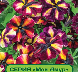 Петуния Мон Амур Камелионе F1 многоцветковая прямостоячая