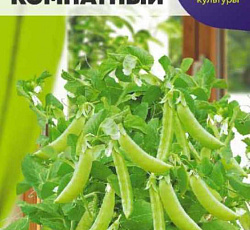 Горох Комнатный