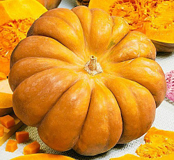 Тыква мускатная Медовая сказка