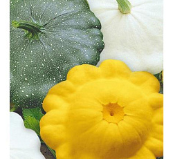 Патиссон Светофор