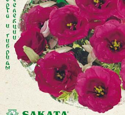 Эустома (лизиантус) Мариачи кармин F1