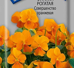 Фиалка Рогатая Совершенство оранжевая