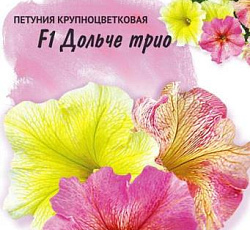 Петуния крупноцветковая Дольче Трио F1