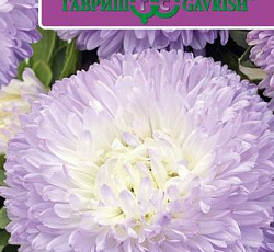 Астра Баллон Серебристо-голубая