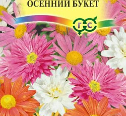 Хризантема индийская Осенний букет