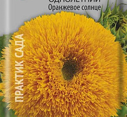 Подсолнечник Оранжевое солнце