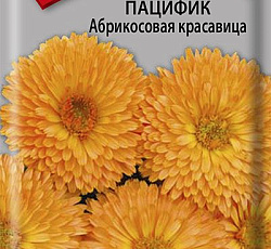 Календула пацифик Абрикосовая красавица