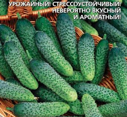 Огурец Забава F1
